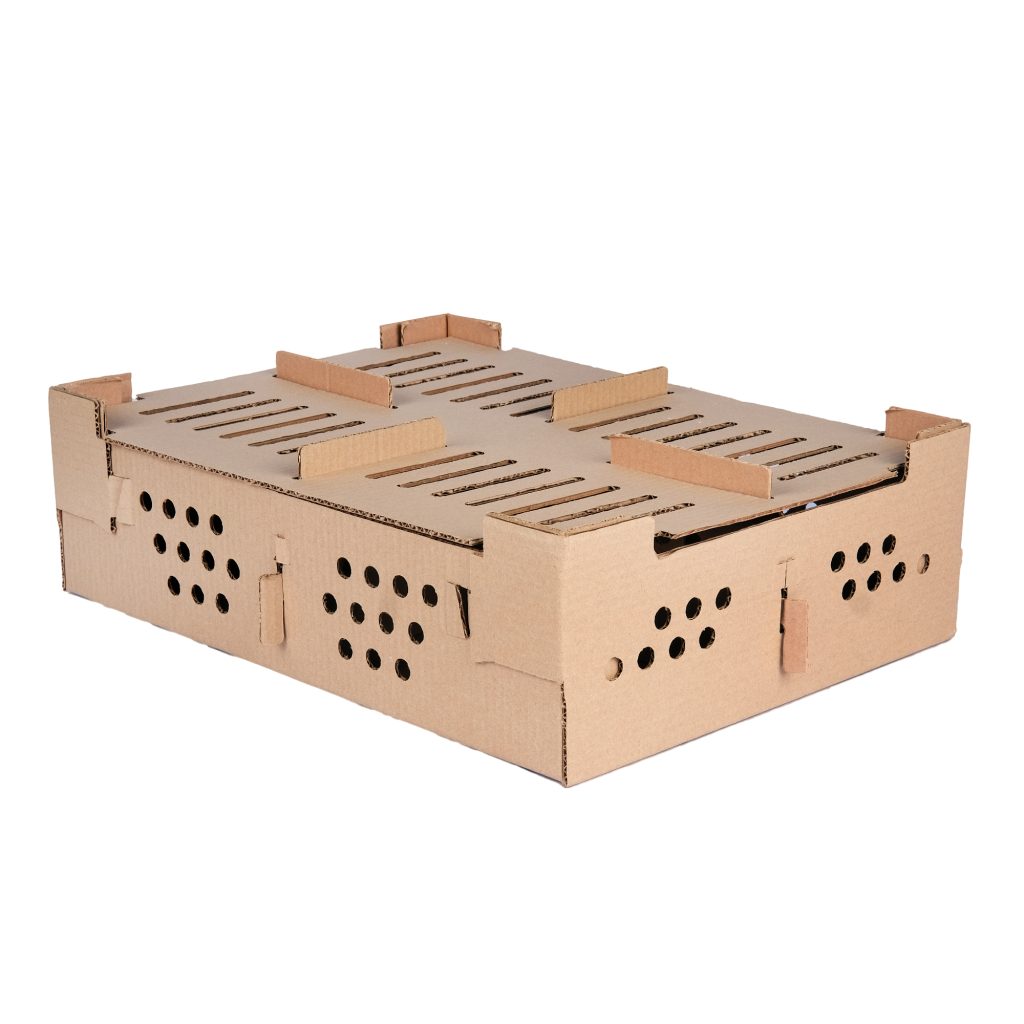 Troquelada para pollos fabrica de cajas corrugadas san pedro