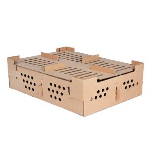 Troquelada para pollos fabrica de cajas corrugadas san pedro